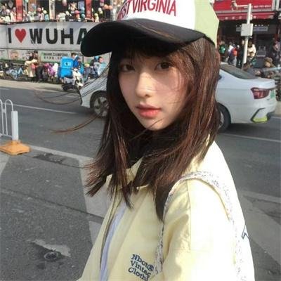 极岛森林